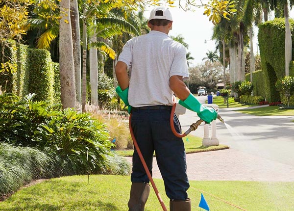 About Longton KS Pest Control